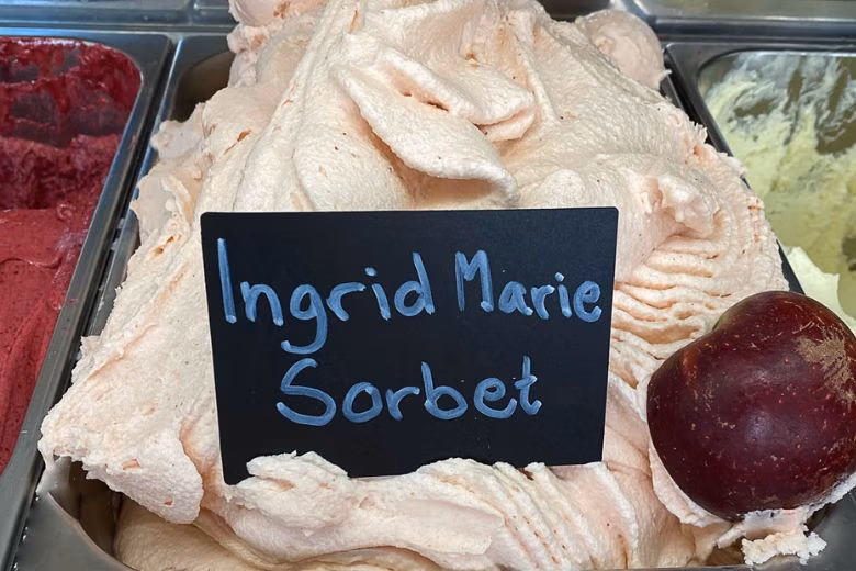 Äppelsorbet gjord på Ingrid Marie-äpplen i en rostfri stålform, garnerad med ett klarrött äpple.